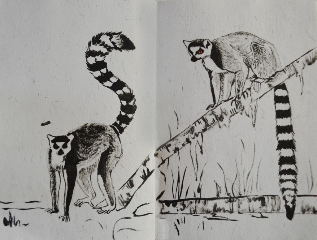 lemuriens